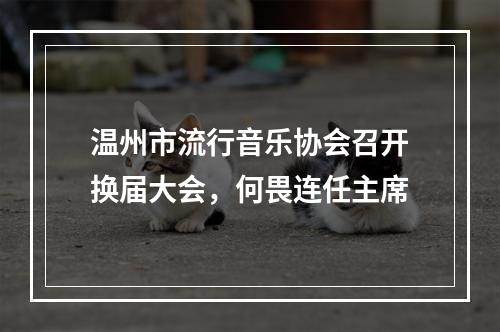 温州市流行音乐协会召开换届大会，何畏连任主席