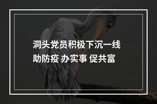 洞头党员积极下沉一线  助防疫 办实事 促共富