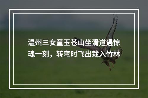温州三女童玉苍山坐滑道遇惊魂一刻，转弯时飞出栽入竹林