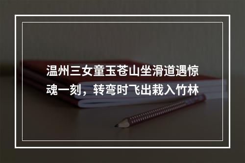 温州三女童玉苍山坐滑道遇惊魂一刻，转弯时飞出栽入竹林