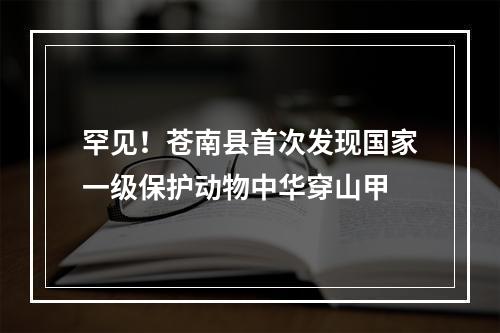 罕见！苍南县首次发现国家一级保护动物中华穿山甲