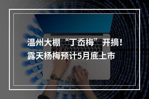温州大棚“丁岙梅”开摘！露天杨梅预计5月底上市