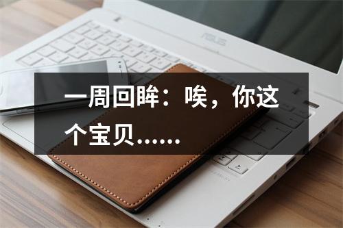 一周回眸：唉，你这个宝贝......