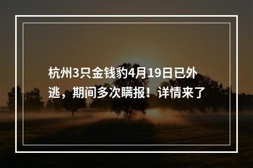 杭州3只金钱豹4月19日已外逃，期间多次瞒报！详情来了