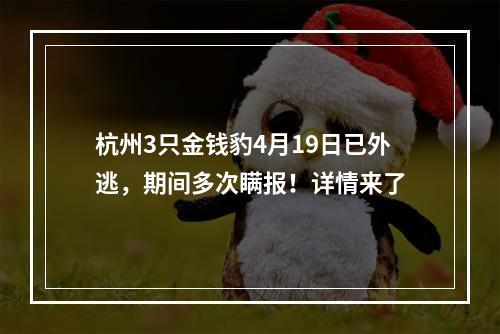 杭州3只金钱豹4月19日已外逃，期间多次瞒报！详情来了
