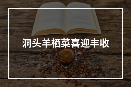 洞头羊栖菜喜迎丰收