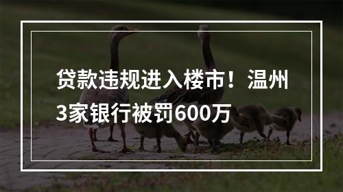 贷款违规进入楼市！温州3家银行被罚600万