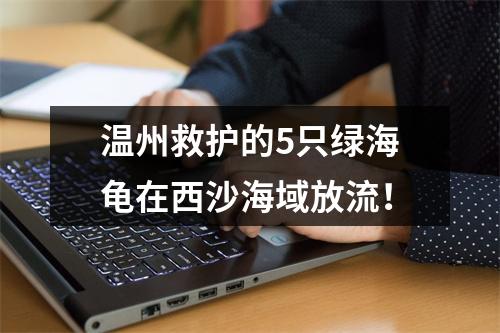 温州救护的5只绿海龟在西沙海域放流！