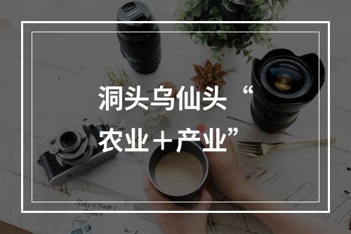 洞头乌仙头“农业＋产业”
