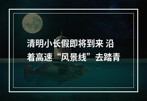 清明小长假即将到来 沿着高速“风景线”去踏青