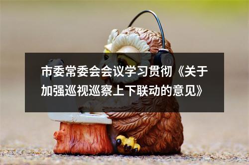 市委常委会会议学习贯彻《关于加强巡视巡察上下联动的意见》