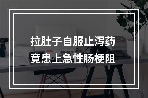 拉肚子自服止泻药 竟患上急性肠梗阻