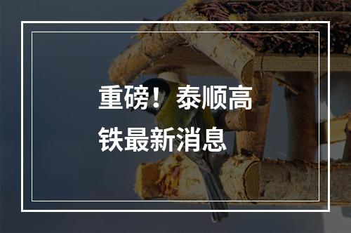 重磅！泰顺高铁最新消息