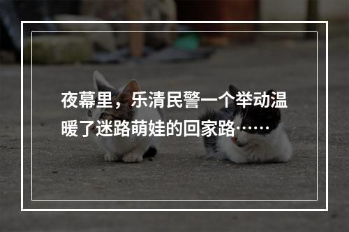 夜幕里，乐清民警一个举动温暖了迷路萌娃的回家路……