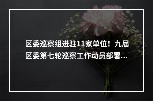 区委巡察组进驻11家单位！九届区委第七轮巡察工作动员部署会召开