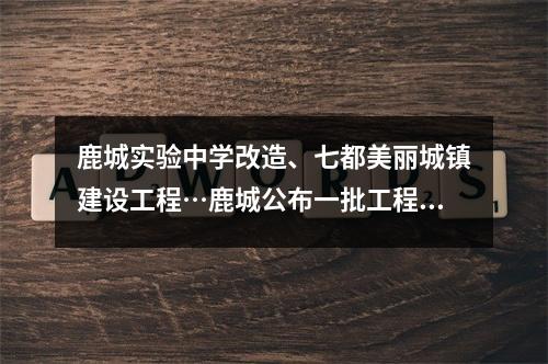鹿城实验中学改造、七都美丽城镇建设工程…鹿城公布一批工程批复