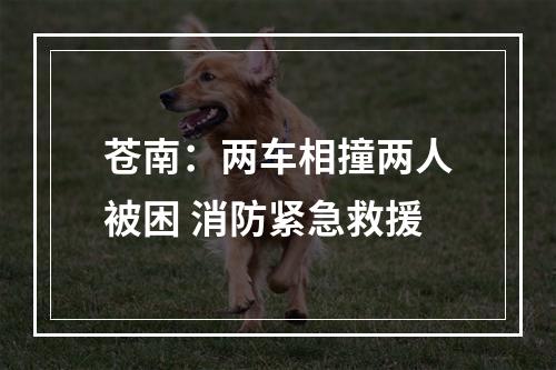 苍南：两车相撞两人被困 消防紧急救援