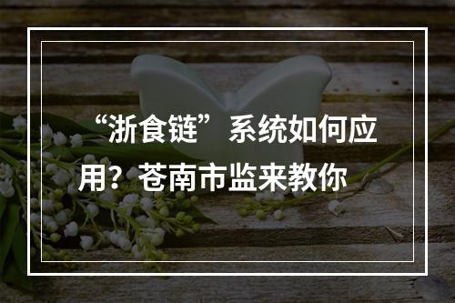 “浙食链”系统如何应用？苍南市监来教你