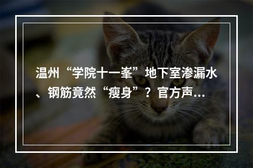 温州“学院十一峯”地下室渗漏水、钢筋竟然“瘦身”？官方声音来了！