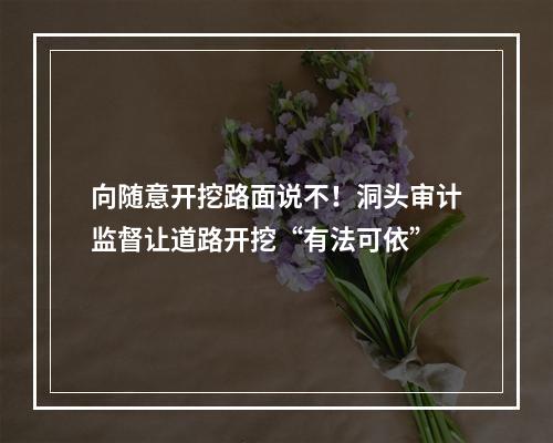 向随意开挖路面说不！洞头审计监督让道路开挖“有法可依”