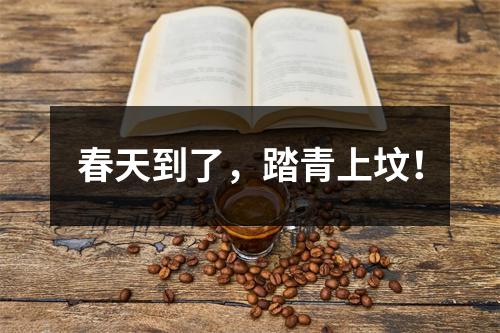 春天到了，踏青上坟！