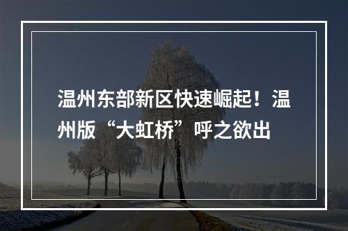 温州东部新区快速崛起！温州版“大虹桥”呼之欲出