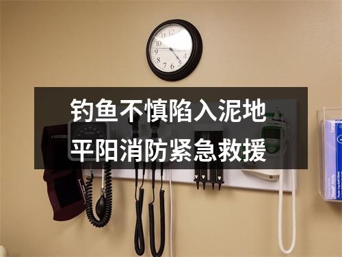 钓鱼不慎陷入泥地 平阳消防紧急救援