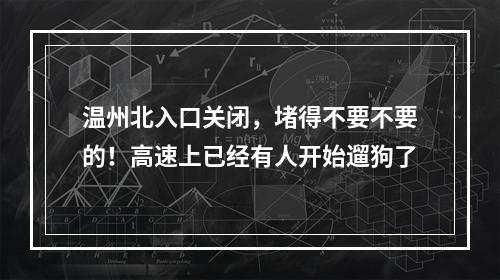 温州北入口关闭，堵得不要不要的！高速上已经有人开始遛狗了