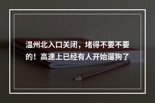温州北入口关闭，堵得不要不要的！高速上已经有人开始遛狗了