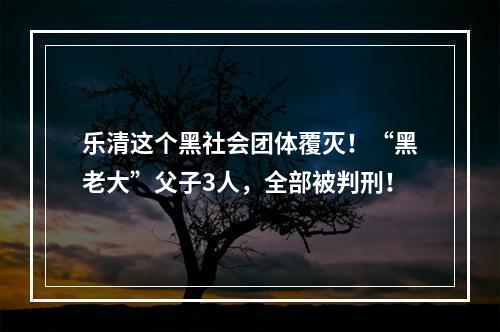 乐清这个黑社会团体覆灭！“黑老大”父子3人，全部被判刑！