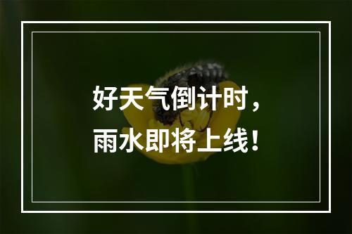 好天气倒计时，雨水即将上线！