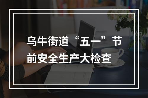 乌牛街道“五一”节前安全生产大检查