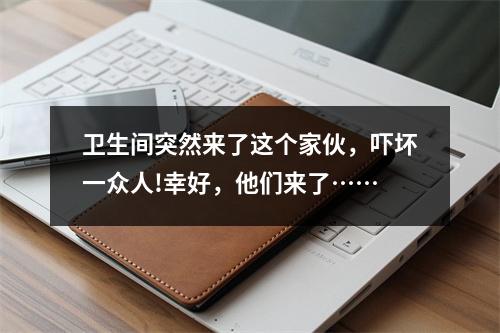 卫生间突然来了这个家伙，吓坏一众人!幸好，他们来了……