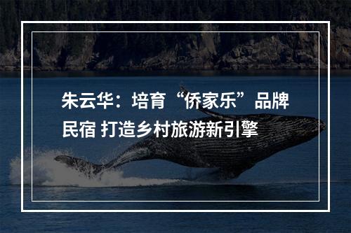 朱云华：培育“侨家乐”品牌民宿 打造乡村旅游新引擎