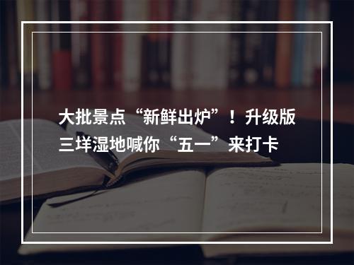 大批景点“新鲜出炉”！升级版三垟湿地喊你“五一”来打卡