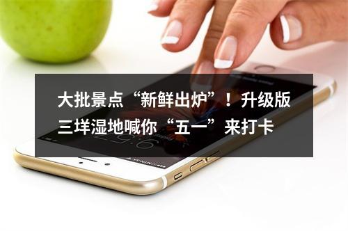 大批景点“新鲜出炉”！升级版三垟湿地喊你“五一”来打卡