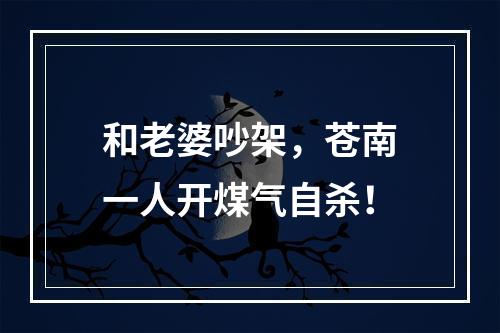 和老婆吵架，苍南一人开煤气自杀！