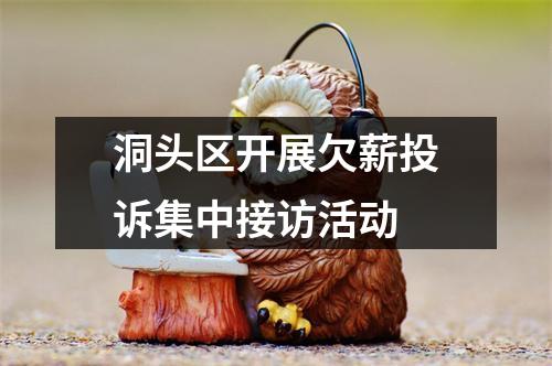 洞头区开展欠薪投诉集中接访活动