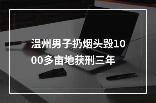 温州男子扔烟头毁1000多亩地获刑三年