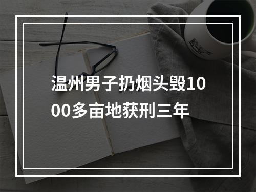 温州男子扔烟头毁1000多亩地获刑三年