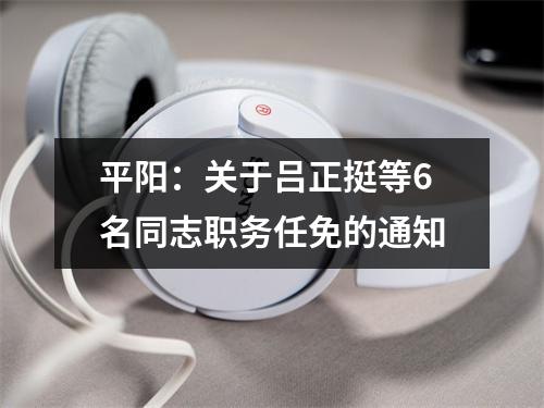 平阳：关于吕正挺等6名同志职务任免的通知