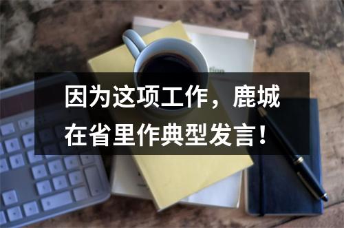 因为这项工作，鹿城在省里作典型发言！