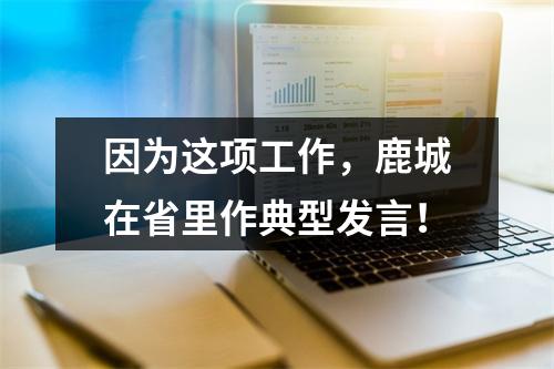 因为这项工作，鹿城在省里作典型发言！