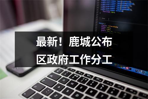 最新！鹿城公布区政府工作分工