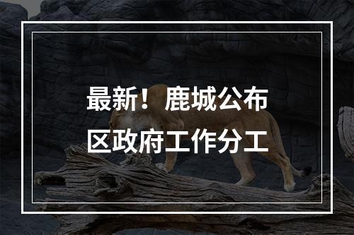 最新！鹿城公布区政府工作分工