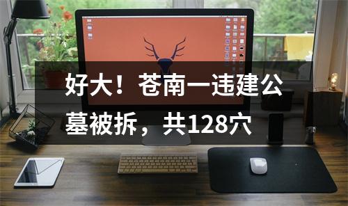 好大！苍南一违建公墓被拆，共128穴