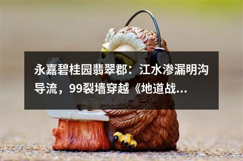 永嘉碧桂园翡翠郡：江水渗漏明沟导流，99裂墙穿越《地道战》， 咸泉叮咚浓雾不散