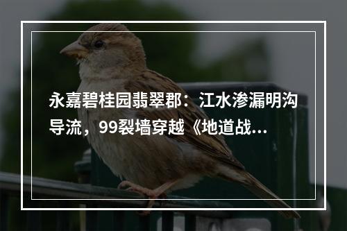 永嘉碧桂园翡翠郡：江水渗漏明沟导流，99裂墙穿越《地道战》， 咸泉叮咚浓雾不散