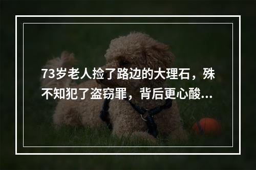 73岁老人捡了路边的大理石，殊不知犯了盗窃罪，背后更心酸的是……