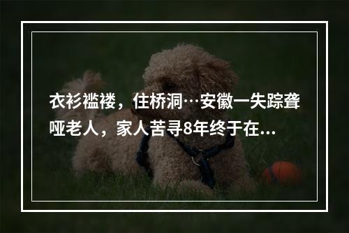 衣衫褴褛，住桥洞…安徽一失踪聋哑老人，家人苦寻8年终于在千里之外的温州传来喜讯！